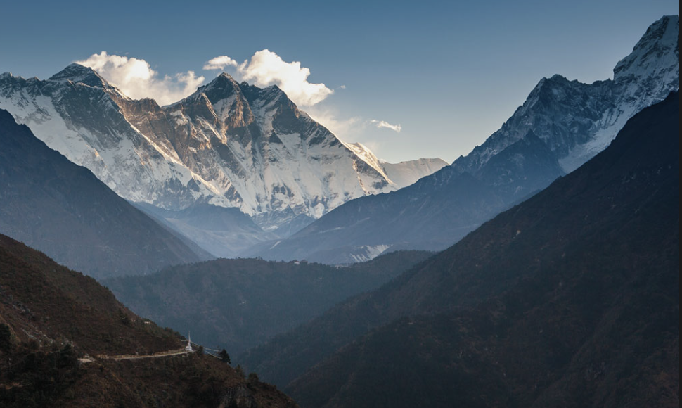 Prof ecom vika 1 CS12